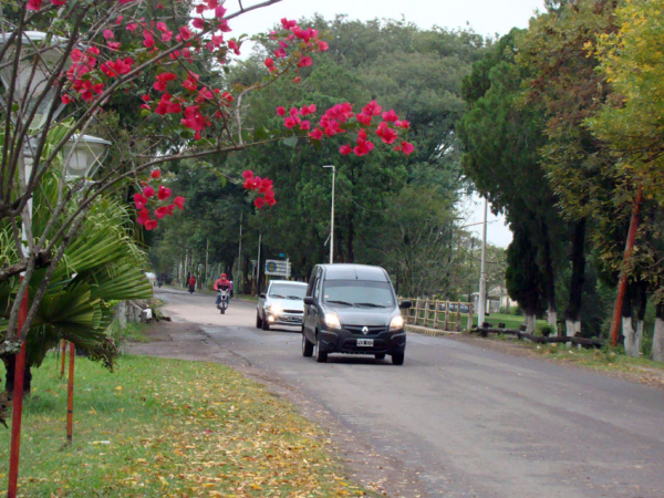 Foto 7