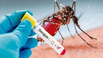 Dengue en Argentina: 6.000 casos en la última semana y 38 mil en total
