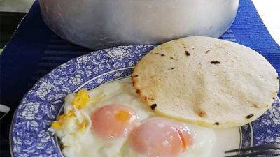 Huevos para alimentar a los chaqueños: el desafío de los pequeños productores