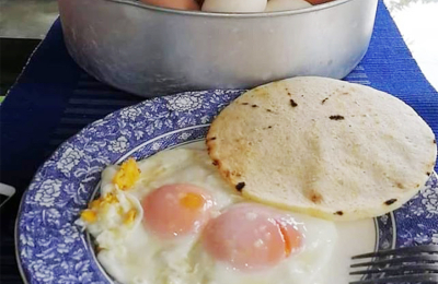 Huevos para alimentar a los chaqueños: el desafío de los pequeños productores
