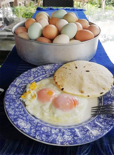 huevos.jpg