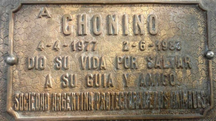 Chonino 3.jpg