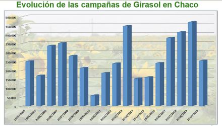 grafico.jpg