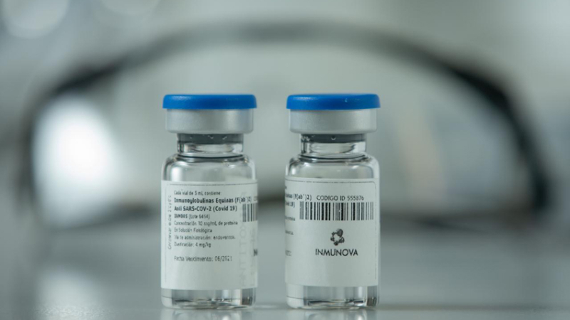 Investigadores argentinos desarrollan un suero terapéutico que neutraliza el virus SARS-CoV-2