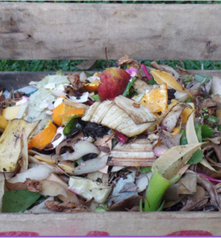 compost2.jpg