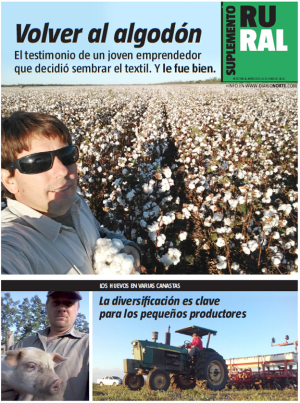 Volver al algodón
