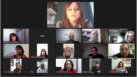 Reunion virtual.JPG
