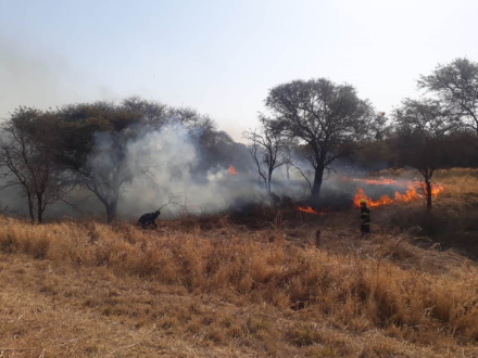 58incendio en gancedo.jpeg