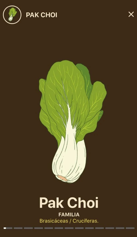 plantas.jpg