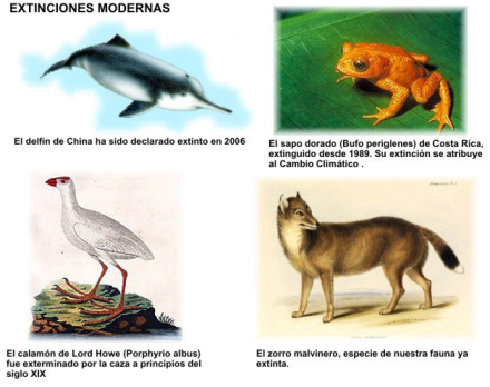 escolar2.jpg