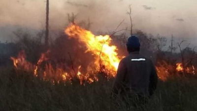 Graves incendios rurales y perdidas millonarias para Secheep