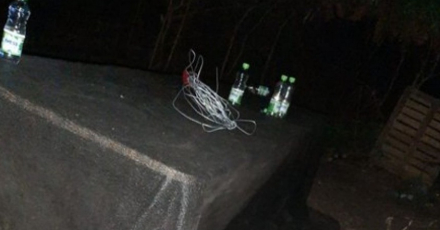 fiesta 2.jpg