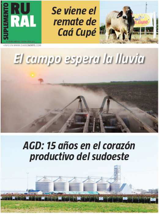 campo espera la lluvia