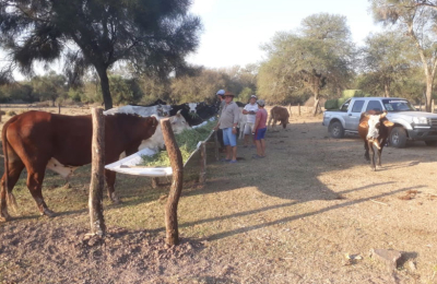 La sequía y los incendios azotan a los pequeños productores