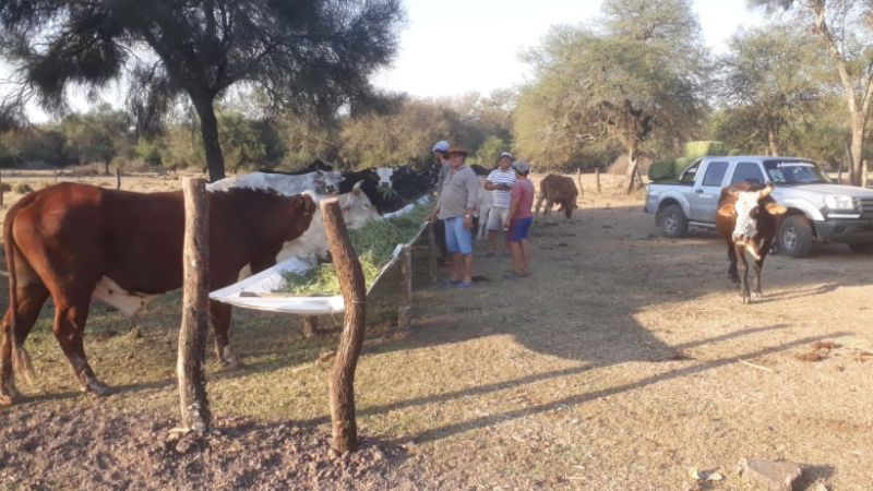 La sequía y los incendios azotan a los pequeños productores