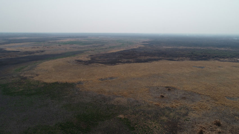 Funcionarios monitorearon focos de incendio en áreas urbanas y rurales