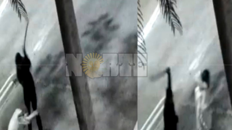 Crimen de Danilo Nikisch: un video muestra un primer ataque a machetazos