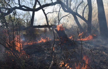 incendios.jpg