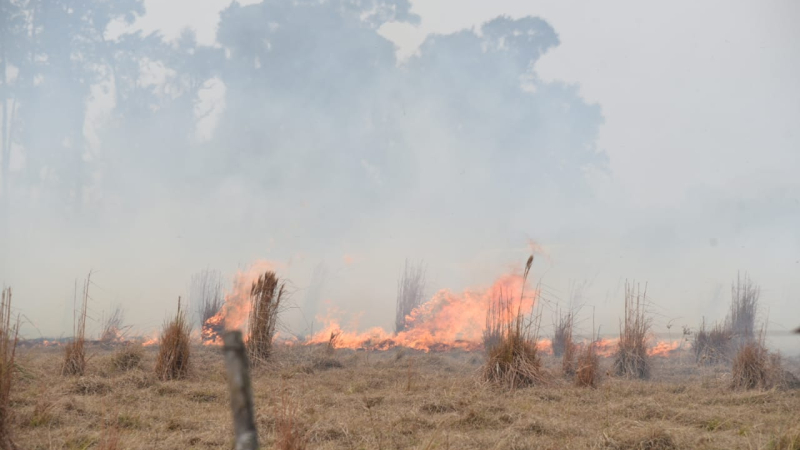 El viento norte trae el fuego hacia Resistencia y arrasa los campos del terraplén: peligran las familias de la zona