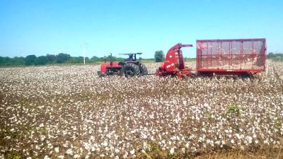 La agricultura, la contracara de la desocupación