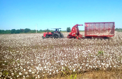 La agricultura, la contracara de la desocupación