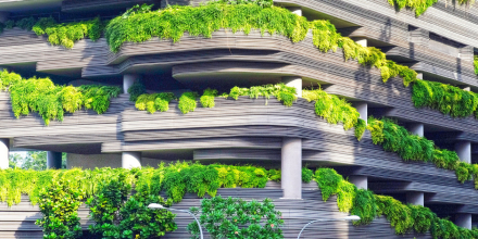 vegetal5.jpg