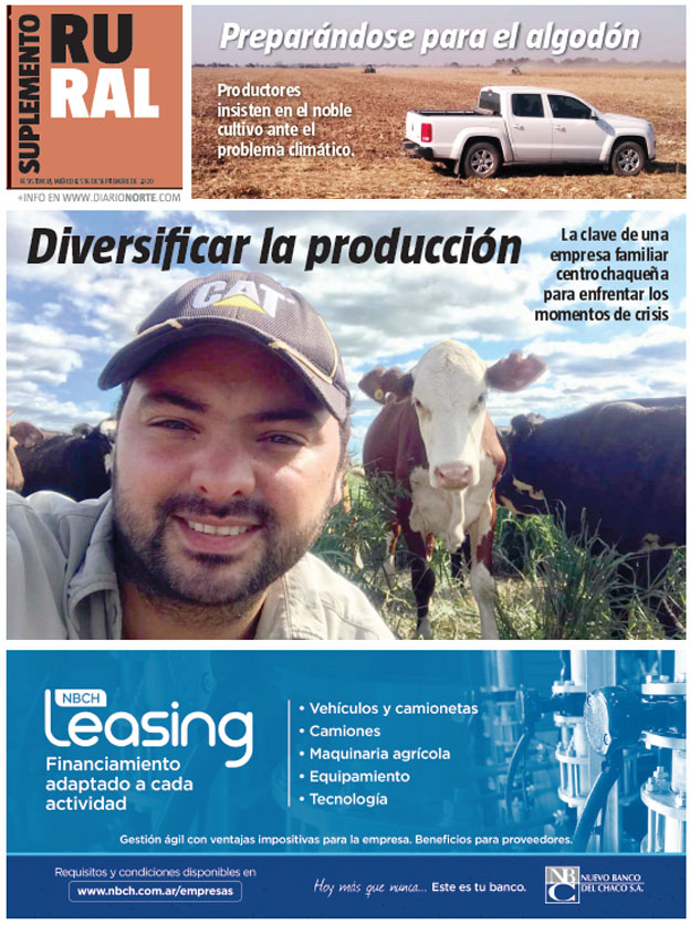 Diversificar la producción
