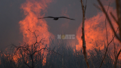 La UCR propone declarar la Emergencia Provincial y Nacional por Incendios y Sequía
