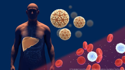 La ANMAT aprobó una prueba rápida para la detección del virus de la hepatitis C