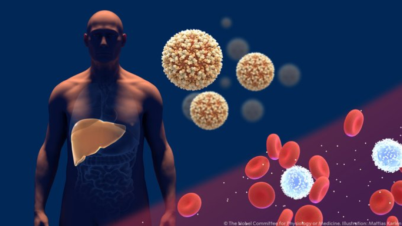La ANMAT aprobó una prueba rápida para la detección del virus de la hepatitis C