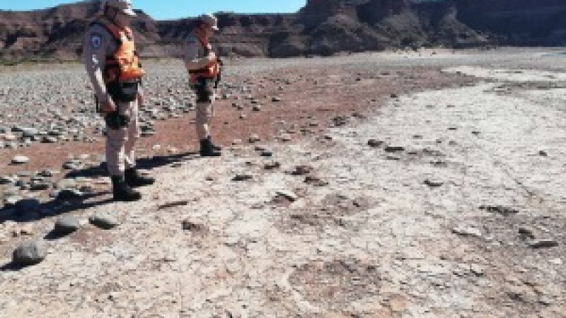 Encuentran huellas de un dinosaurio bípedo en una localidad argentina