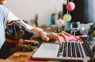 El futuro del home office: estrategias para poder prepararnos