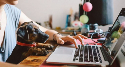 homeoffice.jpg