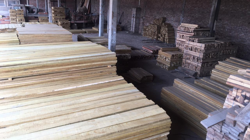 Presentaron una anticautelar para que la cadena forestal pueda trabajar