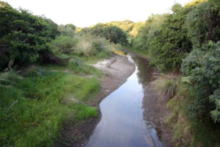 humedales2.jpg
