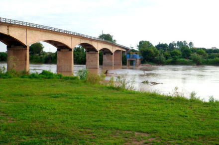 puente-libertad.jpg