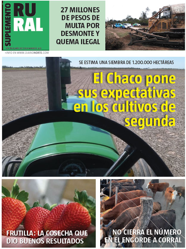 El Chaco pone sus expectativas en los cultivos de segunda
