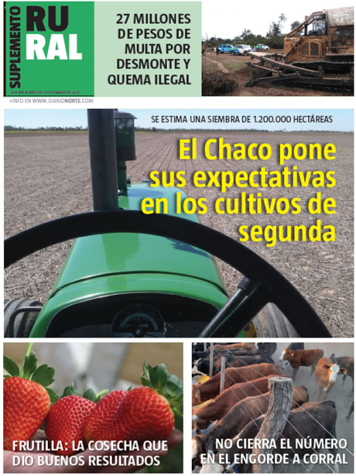 El Chaco pone sus expectativas en los cultivos de segunda