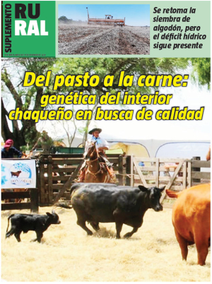 Del pasto a la carne: genética del interior chaqueño en busca de calidad