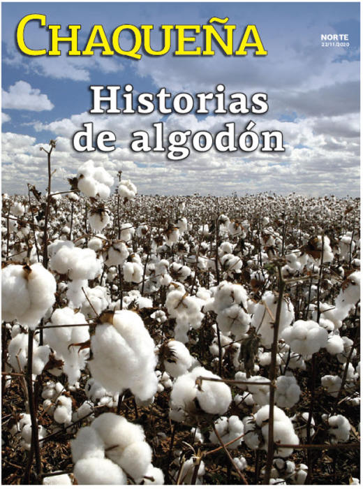 Historias de algodón