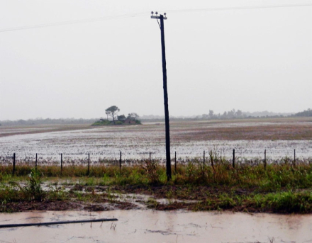 lluvias.jpg