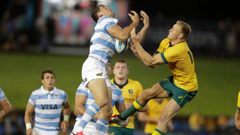 Expectativa por la presentación de Los Pumas ante Australia