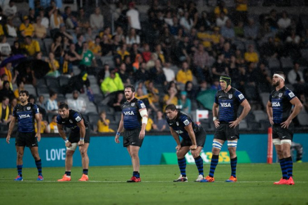 Pumas- Australia 1.jfif