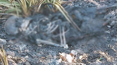Hallaron un cuerpo quemado en el Río de la Plata