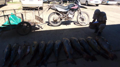 Transportaba pescados en un vehículo no habilitado e infringía la Ley de Pesca