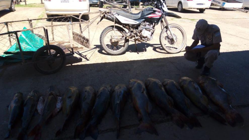 Transportaba pescados en un vehículo no habilitado e infringía la Ley de Pesca
