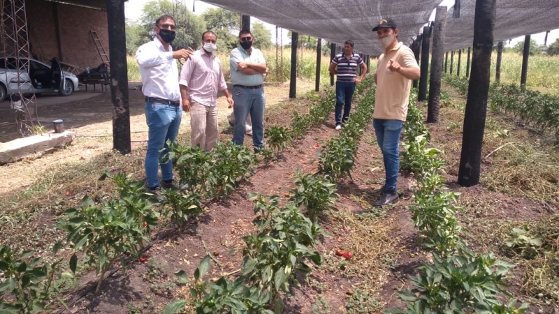 Tres Isletas: visita a proyectos productivos