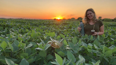 Pasar de tierras abandonadas a lotes cargados con soja y sorgo