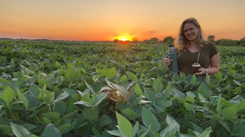Pasar de tierras abandonadas a lotes cargados con soja y sorgo