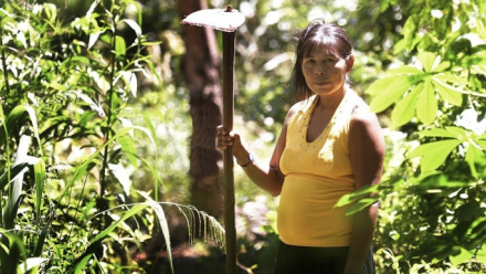 Guaraní Yasy Porá.jpg